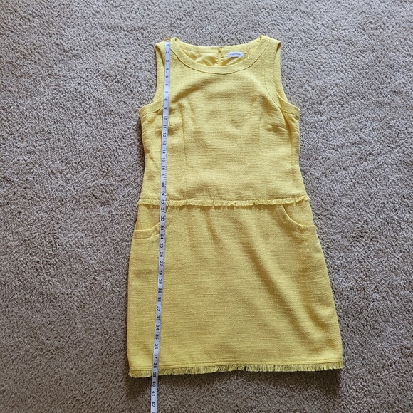 NWT Calvin Klein Fringe Drop Waist Dress Size 14 - Picture 4 of 12